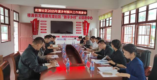 桃源县龙潭镇龙潭社区2025年度乡村振兴工作调度会召开